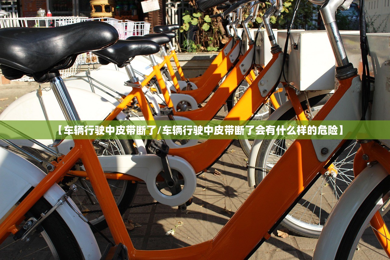 【车辆行驶中皮带断了/车辆行驶中皮带断了会有什么样的危险】 【车辆行驶中皮带断了/车辆行驶中皮带断了会有什么样的危险】