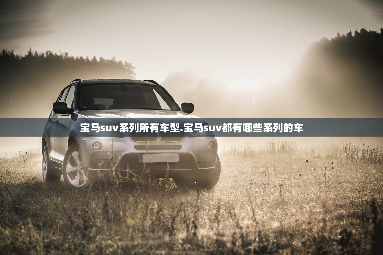 宝马suv系列所有车型.宝马suv都有哪些系列的车