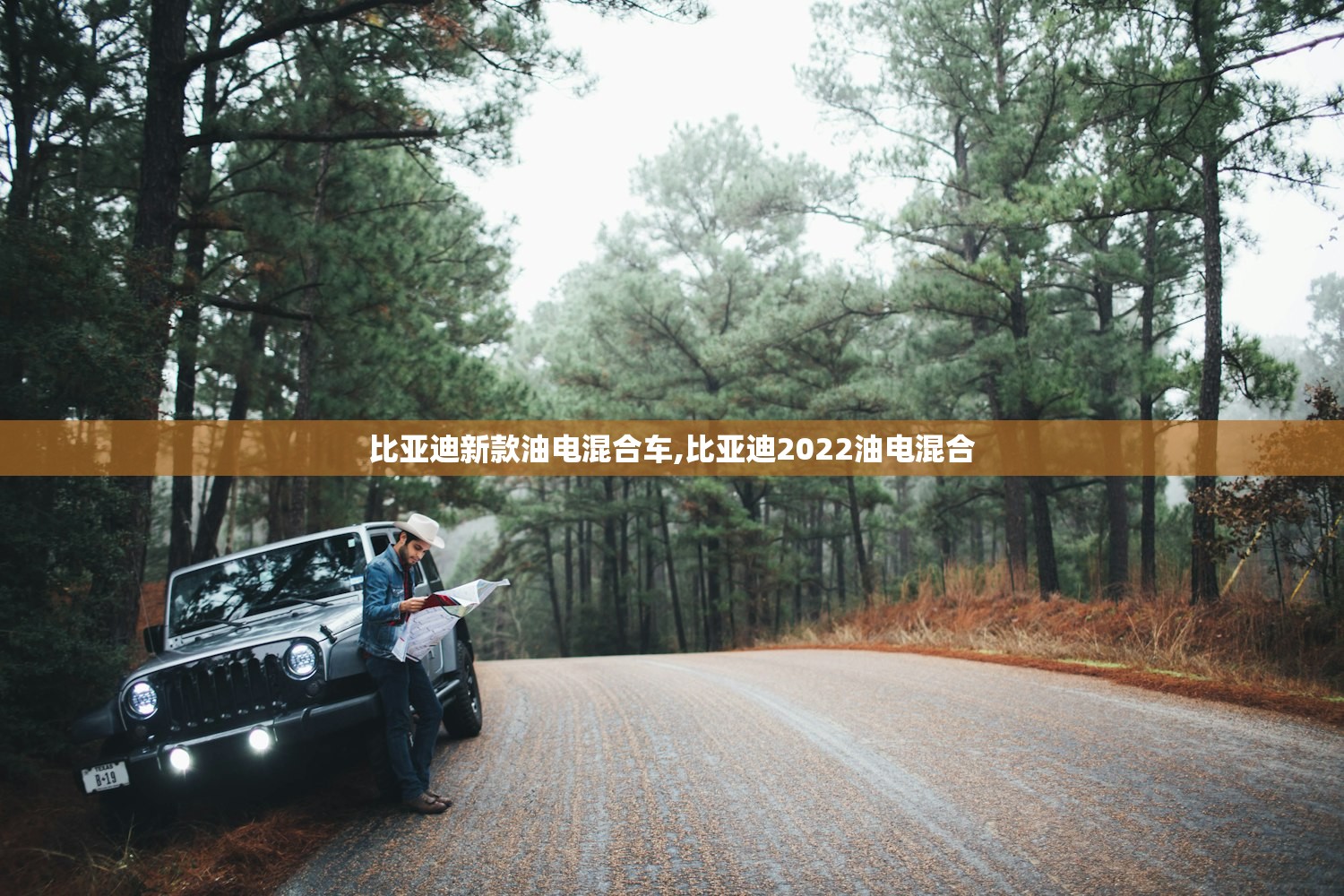 比亚迪新款油电混合车,比亚迪2022油电混合