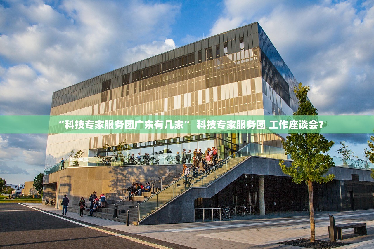 “科技专家服务团广东有几家” 科技专家服务团 工作座谈会？