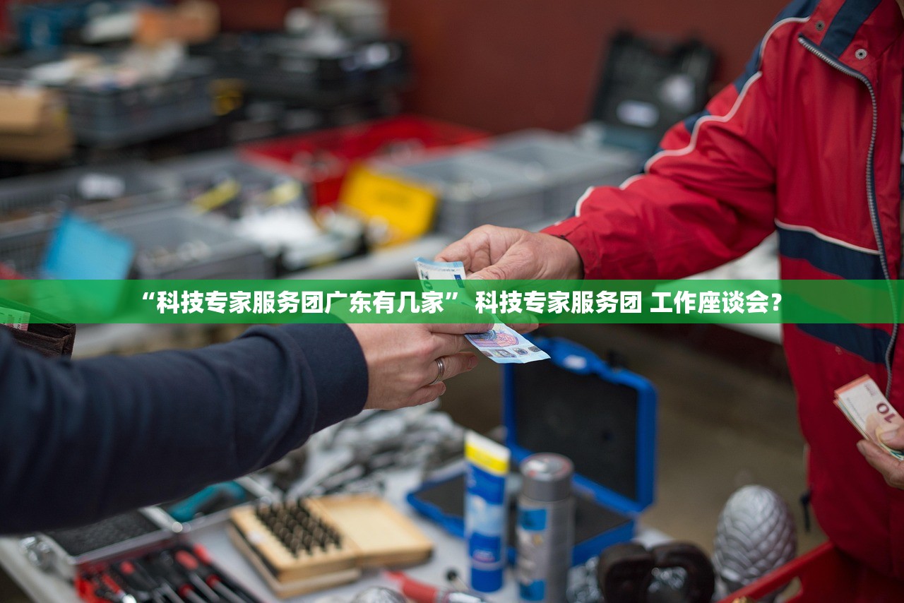 “科技专家服务团广东有几家” 科技专家服务团 工作座谈会？