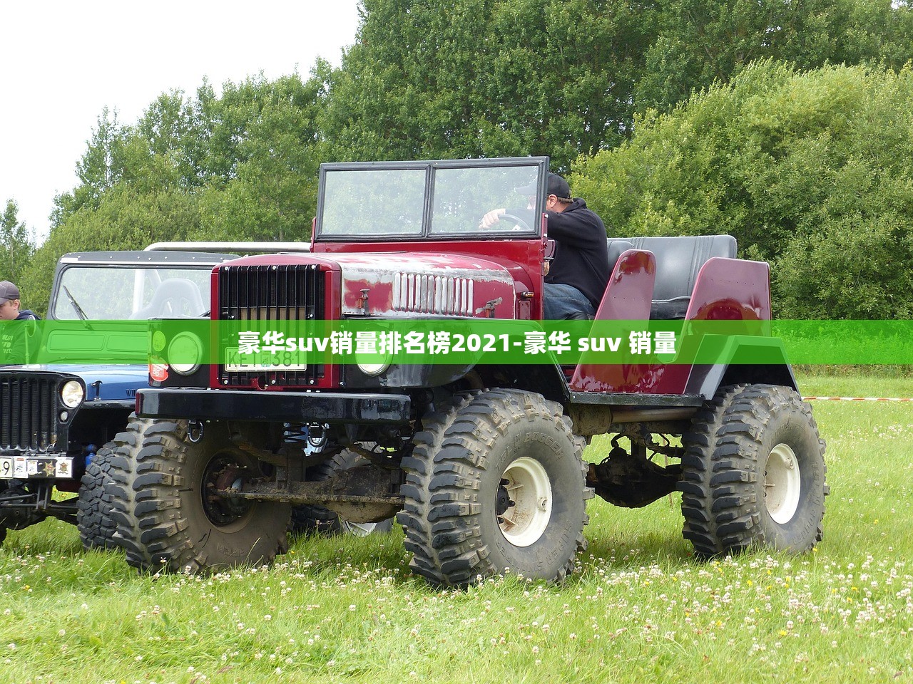 豪华suv销量排名榜2021-豪华 suv 销量